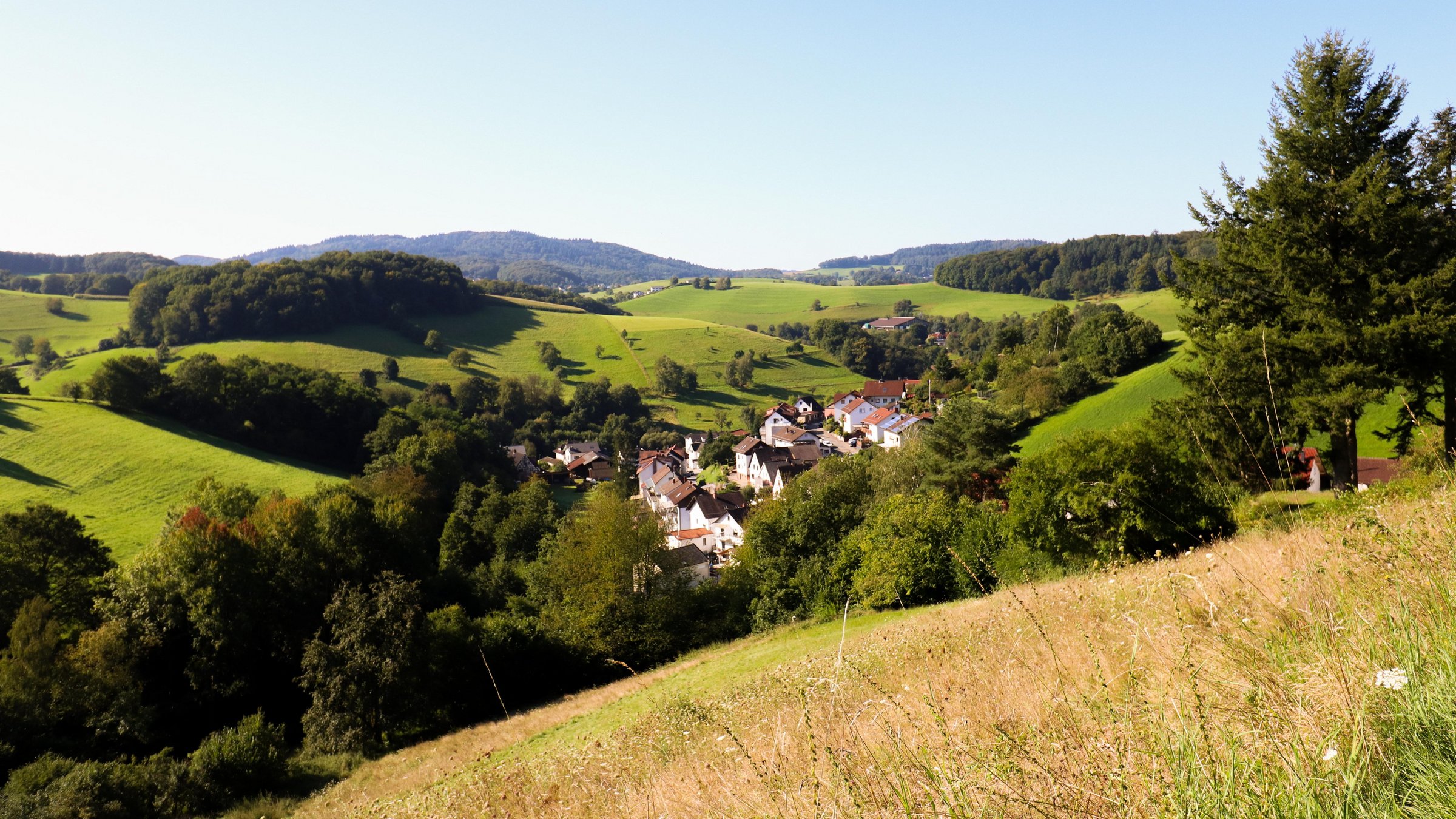 Panorama Landschaftsaufnahme oberhalb des Sees im Frohnklingen. Es zeigt eine grüne Wiese, die von Bäumen umgeben ist unter blauem, wolkenlosen Himmel. Mittig ist eine Wohnsiedlung mit Häusern zu sehen, die rote und braune Dächer hat. Die Siedlung liegt in einem Tal und ist von bewaldeten Hügeln umgeben. Im Hintergrund sind weitere bewaldete Hügel zu sehen. 